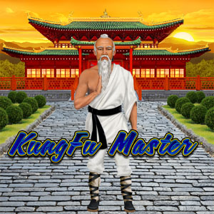 Kungfu Master game tile